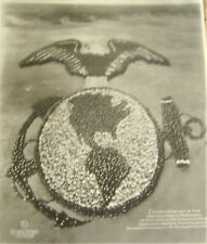 Arthur Mole U.S. Marine Living Emblem 1919 Photograph Bird's Eye View REPRINT picture