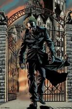 The Joker Arkham Asylum Poster Large 24