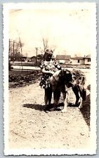 Original Snapshot Photograph 1941 Young Girl Dress Big Dog  picture