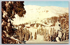 Vintage Postcard CA Bear Valley Groovy Gully Mt. Reba Chrome picture
