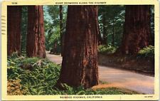1930s REDWOOD HIGHWAY CALIFORNIA GIANT REDWOODS HIGHWAY LINEN POSTCARD 42-179 picture