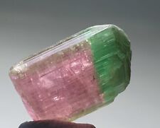 14carats Beautiful Bicolour Watermelon Tourmaline Crystal From Peche Mine Afghan picture