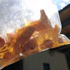 🔥 BALTIC AMBER 30GR BAGS MULTIPLE PIECES HIGH QUALITY POSH CAB LAPIDARY FOSSIL  picture