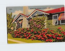 Postcard Poinsettias Around a Florida Home USA picture