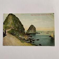 Sugar Loaf Santa Catalina Island Postcard Posted 1912 picture