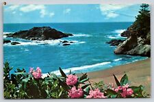 Postcard California Pacific Coastline c1974 9N picture