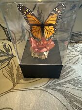 Monarch Danaus Plexippus Real Butterfly Mounted In Display Case Music Box WORKS picture