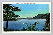 Lake Keuka NY- New York, The End Of Bluff Point, Antique, Vintage Postcard picture