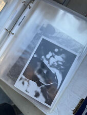 Vintage Lot of Bruce Lee Photograph Collection with Binder picture