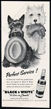 1956 Scottie Westie dogs hat & glove Black & White Scotch whisky vtg print ad picture
