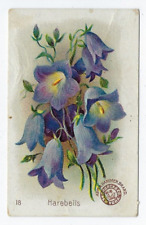 Arm & Hammer Beautiful Flowers Card Harebells Church & Co New York #18 c1895 picture