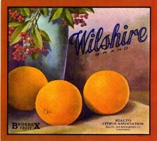 Rialto San Bernardino Wilshire Hollyberry Orange Citrus Fruit Crate Label Print picture