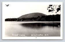 RPPC Scenic View of Forest Lake Winchester NH Real Photo Postcard picture