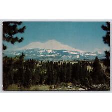 Postcard CA Mount Shasta picture