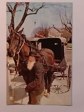 Amish Man With A Horse And Buggy Lancaster County Postcard picture