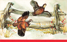Pawtucket RI Rhode Island, Northern Bobwhite Birds Rustic Fence Vintage Postcard picture