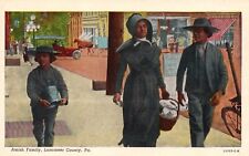 Postcard PA Lancaster County Pennsylvania Amish Family Vintage PC H5878 picture