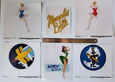 WWII Custom Decal Set - 91st BG, 324th BS, Memphis Belle, Windy City - Car Truck picture
