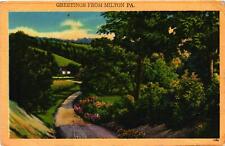 Vintage Postcard- A country road through hills, Milton, PA Early 1900s picture