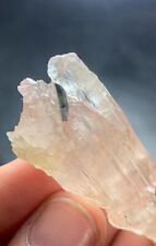 99 Cts Etched  Kunzite with Blue Tourmaline Crystal from Afghanistan picture