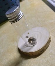 Real Wasp In Glass Bottle  picture