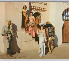 National Date Festival and Riverside County Fair Indio, CA Vintage Postcard UNP picture