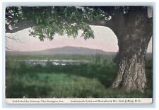 c1910's Contoocook Lake And Monadnock Mt. East Jaffrey New Hampshire NH Postcard picture