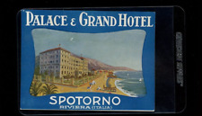 Palace & Grand Hotel Spotorno Italian Riviera Luggage Label picture