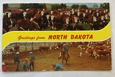 Vintage Postcard “Greetings from North Dakota” Rodeo picture
