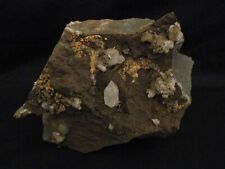 Herkimer Diamond styled Quartz Crystals On Large Matrix Mineral Specimen E2900 picture