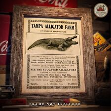 Vintage Tampa Alligator Farm Art Print Florida Gators Poster Art Wall Decor Gift picture