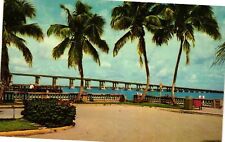 Vintage Postcard- The Bridge of Light, Caloosahatchee River, Fort Myers, FL picture