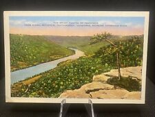 POSTCARD: Signal Mountain Chattanooga Tennessee Showing Tennessee River G16￼ picture