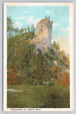 Postcard Castle Rock St Ignace Michigan 1924 picture