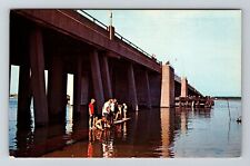 Ocean City MD-Maryland, US Highway 50 Bridge, Vintage Postcard picture