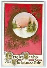 c1910's Christmas Crescent Moon Pine Trees Winter Snow Embossed Antique Postcard picture