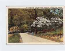 Postcard Springtime in the Mountains Apple & Dogwood Trees in Bloom picture