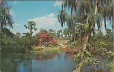 Beautiful Cypress Gardens Florida c1960s Postcard 8088.1 MR ALE picture