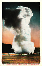 Haynes Old Faithful Geyser at Sunrise YELLOWSTONE PARK Wyoming WY Postcard picture