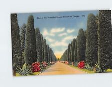 Postcard One of the Beautiful Scenic Streets in Florida USA picture