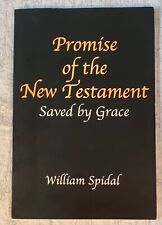 Promise of The New Testament, William Spidal, Paperback, 2004 picture