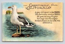 Greetings From California Seagull Postcard picture