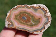 Thunderegg Polished Agate Pink Yellow Chalcedony Laguna Baker Ranch New Mexico picture