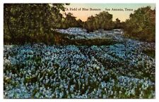 1935 A Field of Bluebonnets, Hand Colored, San Antonio, TX Postcard picture