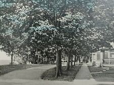 c1920 Linwood Park Lake Front Family Houses Homes Vermilion Ohio Vintage Postcar picture