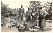 RPPC Feeding Deer on Mount Wilson, CA Nielen Photo 1938 Vintage Postcard picture