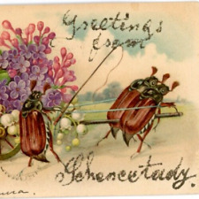 Postcard Anthropomorphic Ricksha Beetles Insects Lilacs Flowers Mica Glitter picture