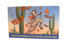 Vintage 1950s Humorous Postcard There's No Comfort In The Comfort Stations Here picture
