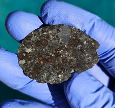 Meteorite**NWA 13949, CVred3**14.020 gram Ultra Fresh and Rare Carbonaceous picture