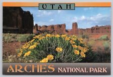 Arches National Park Utah, Yellow Flowers, Vintage Postcard picture